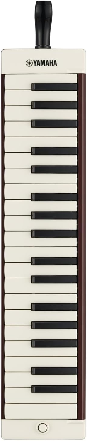 程度上々々❗️K.Yairi（Alvarez）G1-F アコギ製造終了品 調整済